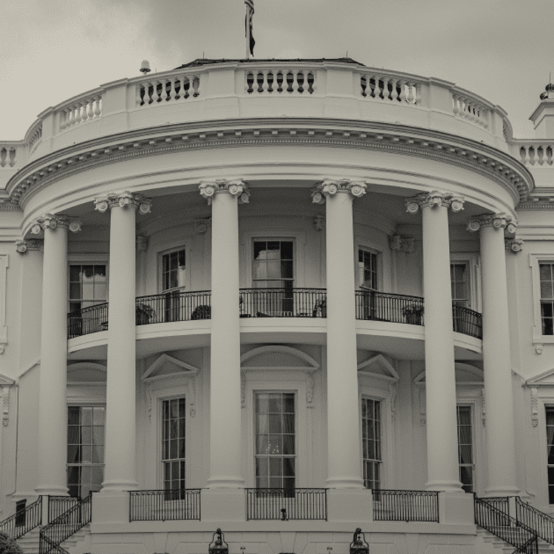 2024-Election-Response_Web